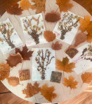 Будни нашего Центра